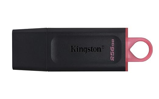 Pendrive Kingston 256 GB