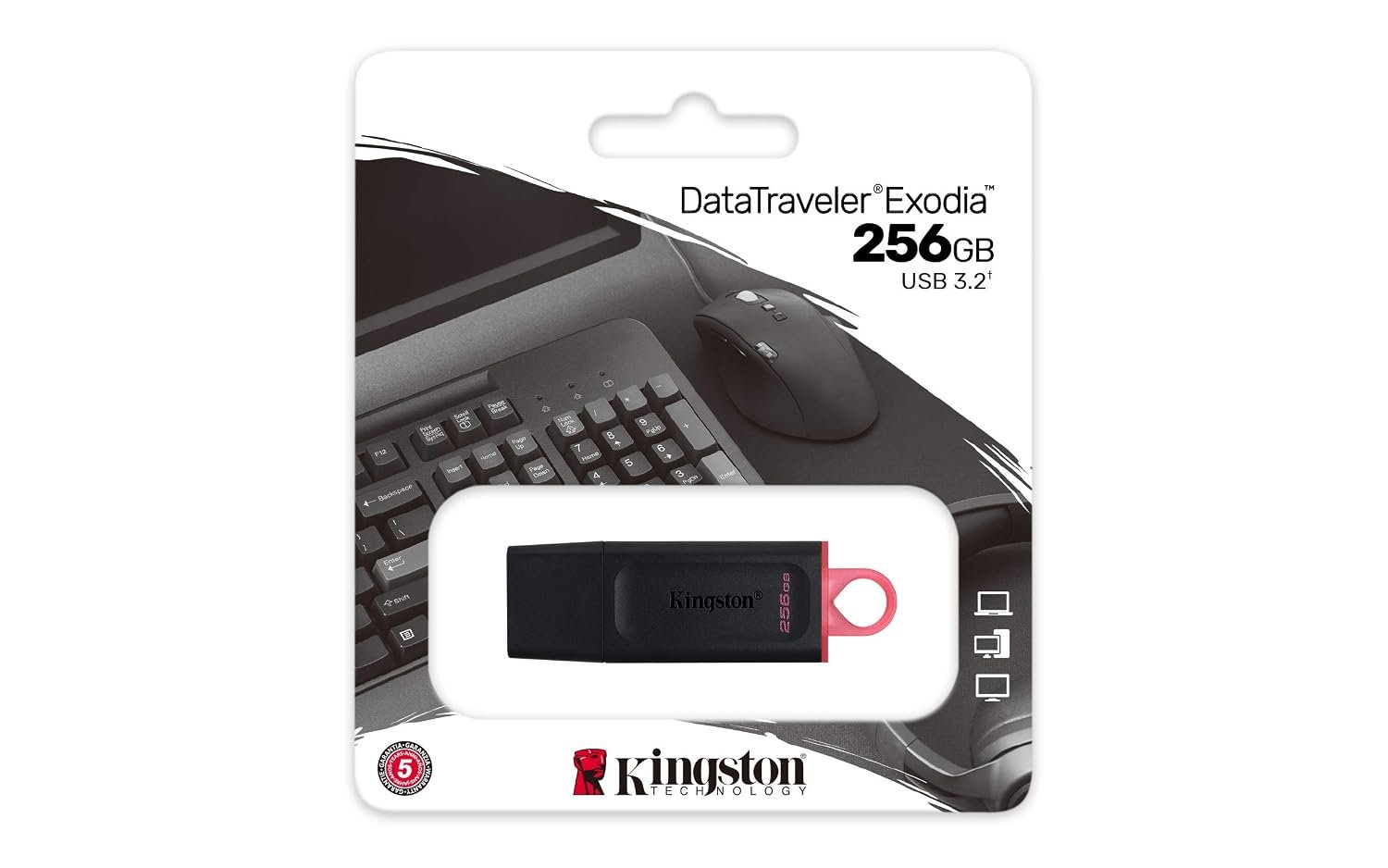 Pendrive Kingston 256 GB